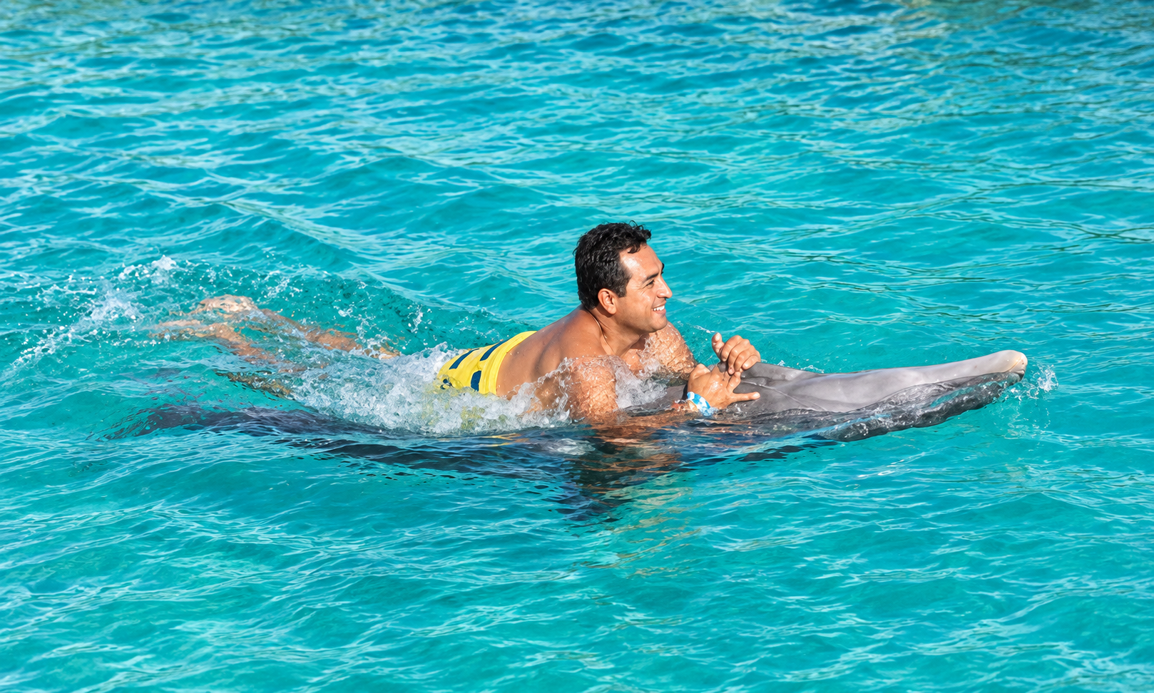 Experiencia con delfines
