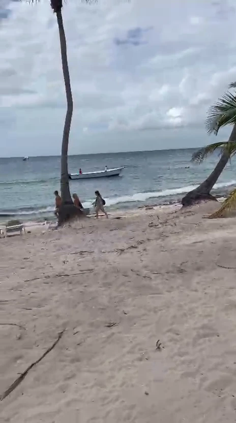 Playa con palmeras durante una visita a Isla Catalina