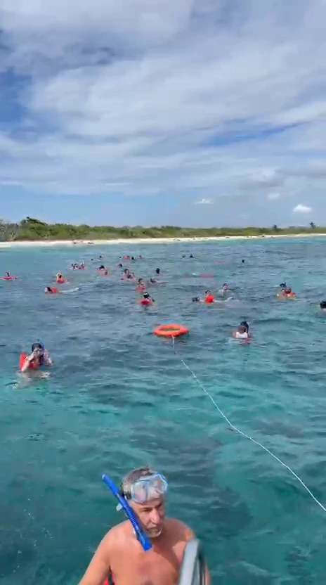 Participantes en una parada de snorkel durante la excursión a Catalina