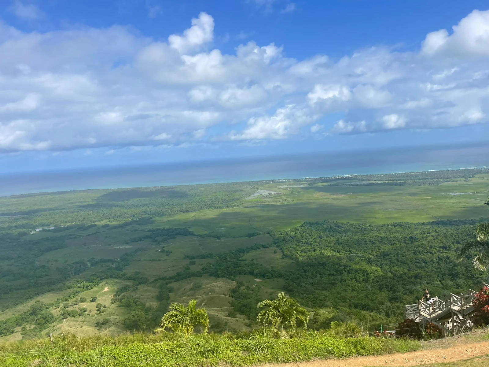 Panorámica de la costa y vegetación desde Montaña Redonda