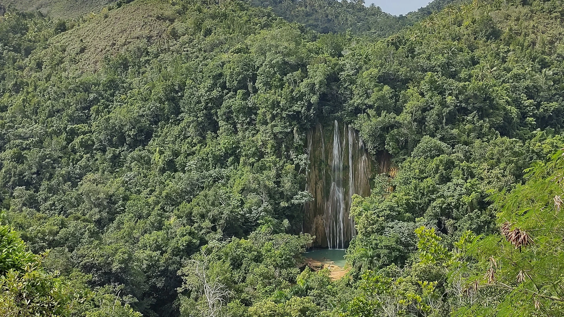 Salto El Limón entre la vegetación de Samaná