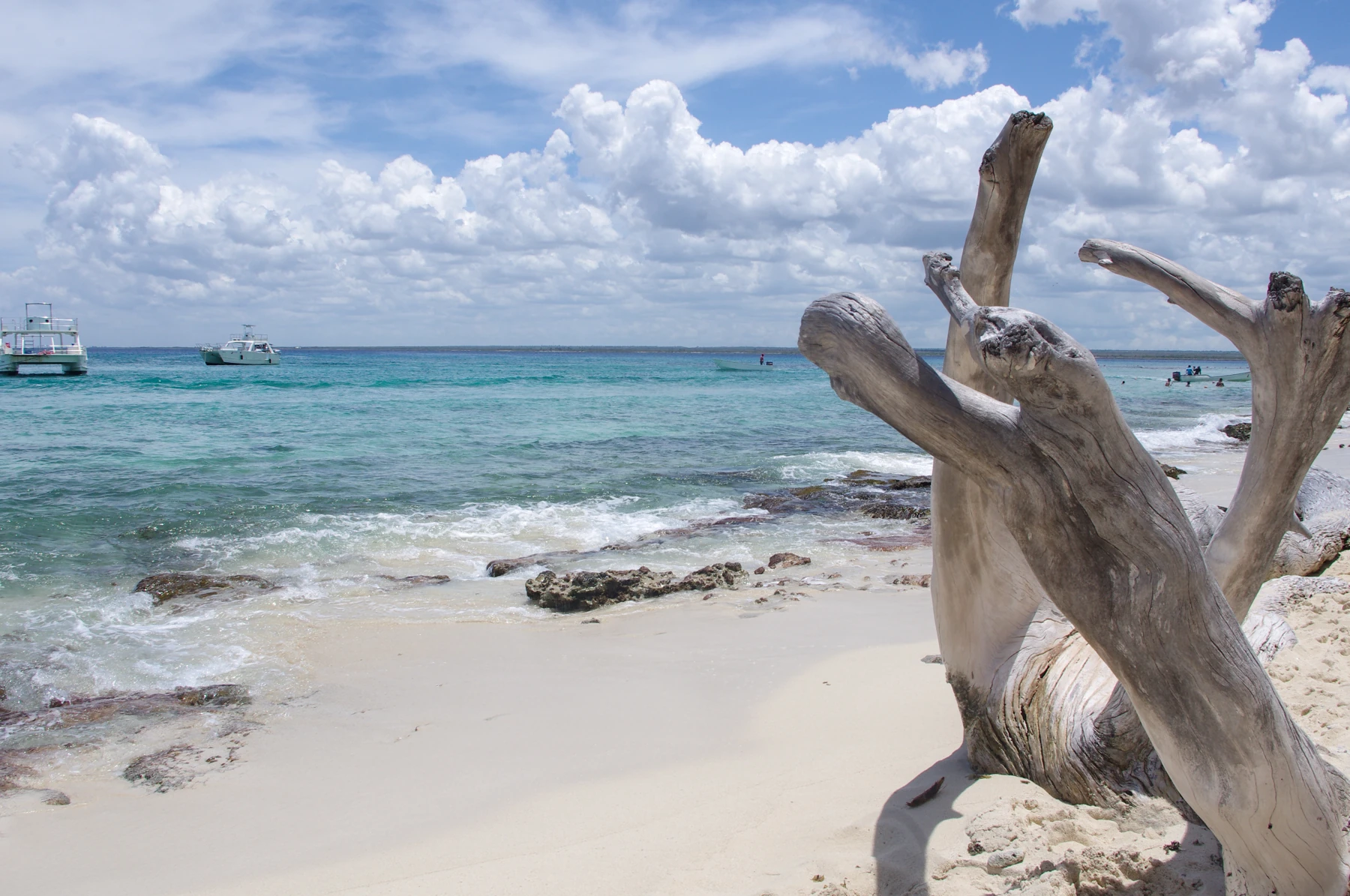 Orilla de Isla Catalina con arena, un tronco y embarcaciones