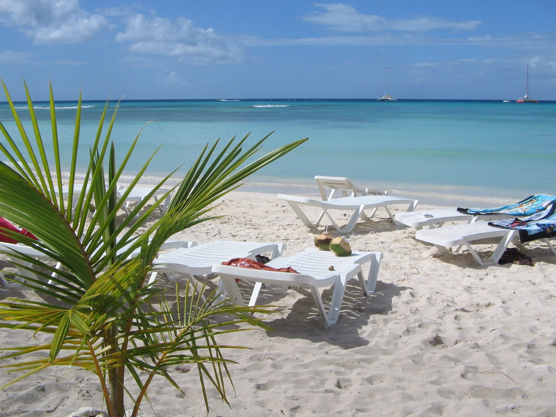 Playa de Isla Saona con palmeras frente al mar